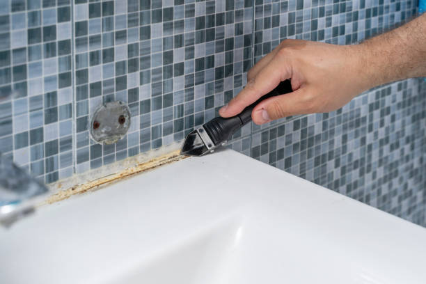 Best Post-Flood Mold Remediation in Barview, OR