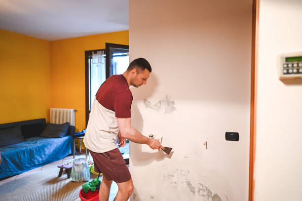 Best Residential Mold Remediation in Barview, OR
